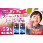 ブルーベリーミルクの素 280g×2