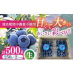 fu.... налог | каждый год 6 месяц .. последовательный отправка |..... Berry ( голубика сырой плоды )250g×2 упаковка premium голубика прямая поставка от производителя префектура Аичи производство.. префектура Аичи love запад город 