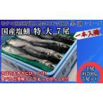 塩鯖 特大サイズ 7尾