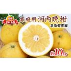 ふるさと納税 河内晩�