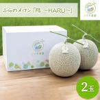 メロン 富良野 陽 HARU 赤肉 くりす農園