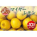 訳あり マイヤーレモン 計10kg以上