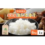 米 越地 こいち 特別栽培 コシヒカリ 令和5年産 6kg