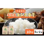 米 越地 こいち コシヒカリ 普通栽培 令和5年産 計10kg