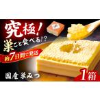 ふるさと納税 はちみつ 国産 巣みつ 300g ｜ハチミツ [AFAI004] 蜂蜜 福岡県広川町