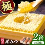 極巣みつ 620g