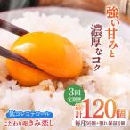 きみ恋し 箱入り 40個