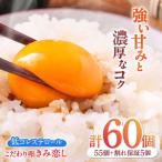 きみ恋し 60個