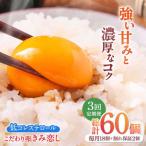 きみ恋し 箱入り 20個