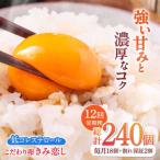 きみ恋し 箱入り 20個