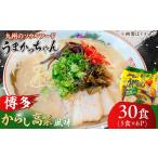 うまかっちゃん 博多からし高菜風味 30食