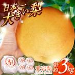 愛宕梨 約3kg