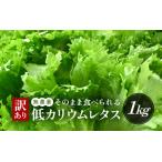 ショッピングふるさと納税 訳あり 不揃い ふるさと納税 【訳あり】低カリウムレタス 1kg (500g×2袋) 不揃い クリーンルーム栽培 無農薬 鮮度長持ち 【野菜 生野菜 レタス サラダ 水.. 福井県美浜町