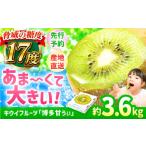 ふるさと納税 【★先行予約★ 2025年11月上旬以降発送】福岡県ブランド! キウイフルーツ 博多甘うぃ 約3.6kg / キウイ キウイ キウイ キウイ キ.. 福岡県広川町