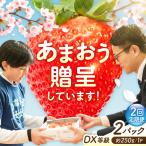 二回定期便 あまおう 250g×2