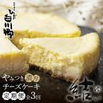 定期便 3回お届け やみつき濃厚チーズケーキ