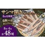 サンマ開き2尾入り 4パックセット ×6回 合計48枚