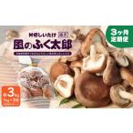 しいたけ 風のふく太郎 約1kg