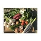 自然栽培野菜 10~12品目 野菜 詰合せ
