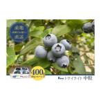 fu.... налог [ предшествующий предварительный заказ ] свежий голубика ( twilight средний шарик 100g×4) фрукты фрукты местного производства фрукты утро .. голубика изысканный ... Chiba префектура Narita город 