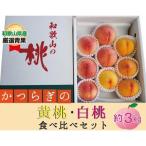 ふるさと納税 ★かつらぎの黄桃・白桃食べ比べセット★ 9〜12玉【2025年6月下旬〜2025年8月上旬頃順次発送】【A257-frks150】 和歌山県かつらぎ町