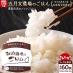 農家直送のパックごはん☆五月女農場のごはん 150g×20個