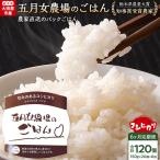 農家直送のパックごはん☆五月女農場のごはん 150g×20個