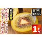 fu.... налог < предшествующий предварительный заказ!2026 год 11 месяц средний . после последовательный отправка предположительно >{.. для * большой шар тщательно отобранный }... Angel сладкий киви ( примерно 1kg* несессер ) местного производства ... Kagawa префектура ... . блок 