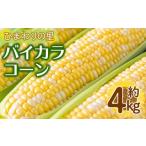 バイカラコーン 約4kg
