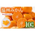 温州みかん 約10kg