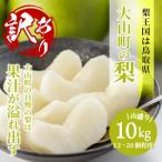 ふるさと納税 DS-25　訳あり梨10kg 鳥取県大山町