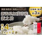 新之助 精米4kg 2kg×2袋
