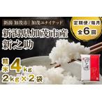 新之助 精米4kg 2kg×2袋