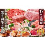 ふるさと納税 定期便(6回配送) 枕崎お楽しみ定期便(黒毛和牛・黒豚・加工品etc) FF-6003_肉 ハム 豚肉 肉 ハンバーグ 牛肉 肉 ステーキ .. 鹿児島県枕崎市