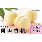 ふるさと納税 桃 2026年 先行予約 岡山 白桃 ロイヤル 4〜6玉 1kg 岡山県産 JAおかやまのもも モモ 岡山県産 国産 フルーツ 果物 ギフト  岡山県瀬戸内市