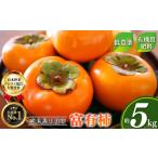 ふるさと納税 富有柿 約5kg （17〜20個） 選べる 内容量 日本野菜ソムリエ協会大賞受賞品 | 富有柿 かき フルーツ 柿 かき 果物 先行 予約 日本 .. 奈良県五條市