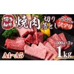ふるさと納税 牛肉 切り落とし 訳あり A4〜A5 博多和牛 焼肉 肩ロース バラ 500g 2p 牛肉 [um40azp010030] 福岡県宇美町