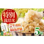 ふるさと納税 令和7年産 特別栽培米「夢しずく」玄米5kg [HAG031] 佐賀県江北町