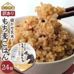 訳あり 寝かせ玄米もち麦ごはん 24個
