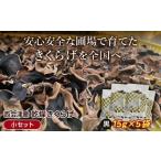 西会津産 乾燥きくらげ 小セット 黒15g×5袋