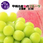 産厳選旬のフルーツ定期便全2回 桃 シャインマスカット