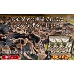 西会津産 乾燥きくらげ 中セット 黒30g×6袋