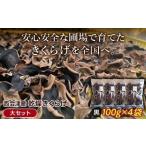 西会津産 乾燥きくらげ 大セット 黒100g×4袋