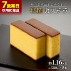 特撰カステラ 2号 約580g×2本入