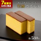 特撰カステラ 約580g