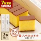 長崎 カステラ1.2号 カステラ