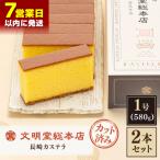 長崎カステラ 1号10切入×2本入