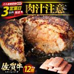 佐賀牛 ハンバーグ 130g×12個