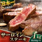 長崎和牛 サーロインステーキ 計1kg