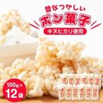 昔なつかしい ポン菓子 100g×12袋